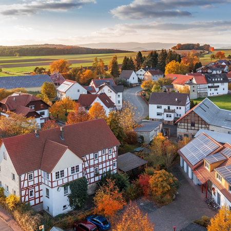 Real Estate Consultancy